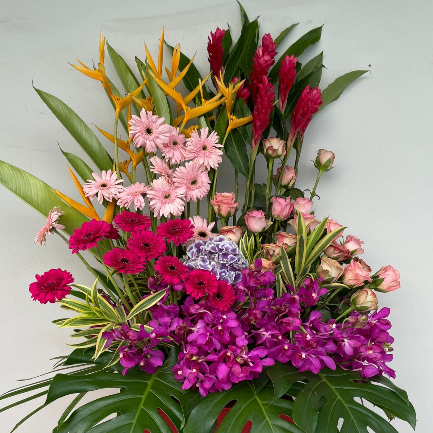 Cheap Fresh Gerbera Daisies, Bird of Paradises, Ginger flower, Roses and Hydrangea Grand Opening Floral Stand Below $300 in Singapore Free Delivery